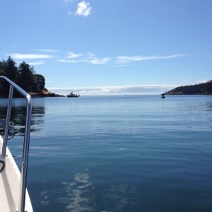 Heading out of Pedder Bay