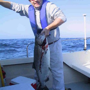 Chinook on ShearwaterJPG.jpg