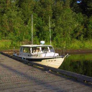 shearwater at br.JPG
