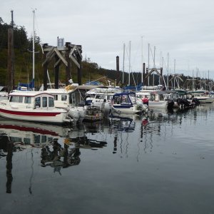 Lots more boats by Friday Afternoon - counted 24 or 25 Friday night.  I heard there were 33 boats total on Saturday.