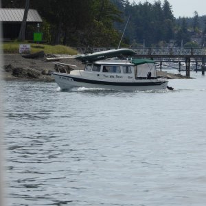 Saw Two Bears leaving Roche Harbor on Monday morning