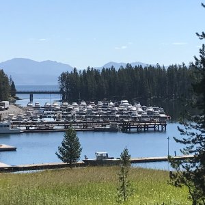 Bridge Bay Marina, Yellowstone Lake.  Photo by Bill Roche