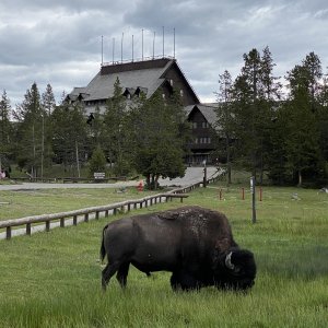 Old Faithful Inn