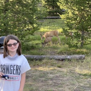Wrenny at the Wolf Bay backcountry campsite