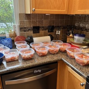 Processing for freezing.  25 shrimp per container.