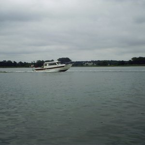 Minnow