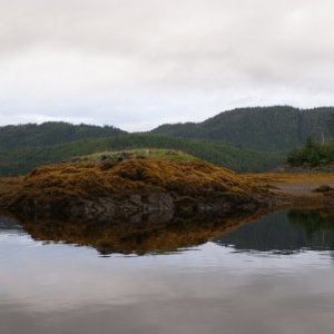 Media '086 Thorne Bay, home of the world's largest logging camp in the 1960's -0358' in album '006 Bedwell Harbor -0105'
