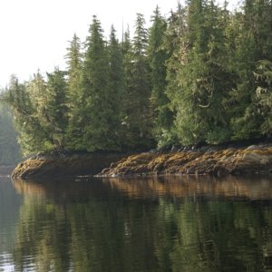 087 Thorne Bay -0363