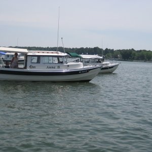 Media 'Anchored off St Michael's waiting for Tom' in album 'HUNK E DORY'