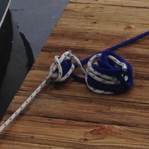 Mating Lines