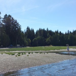 Media 'Inner bay of Rebecca Spit' in album 'Beach in Powell River

We covered 240 water miles on this trip from Comox to Powell River then up north in the Discovery/Desolation areas.'