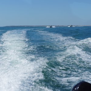 DSC00231
