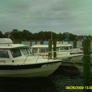 All lined up on Dock A.