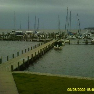 Can you pick out the C-Dorys in the rain?