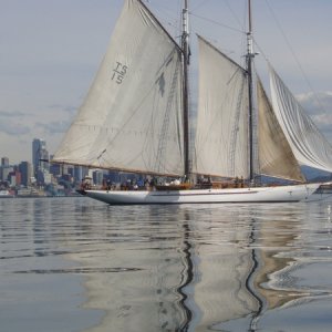 Near Seattle
