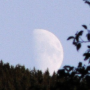 Artsy Moon - Upper Priest River - 8-22-07