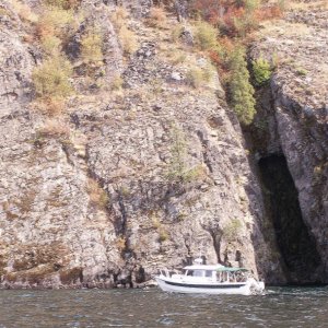 Halcyon Cruising Shoreline - Lake Pend Oreille - 8-18-07