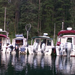 Voyager, Mz Kaye, Halcyon and Daydream - Buttonhook Bay, Lake Pend Oreille - 8-17-07