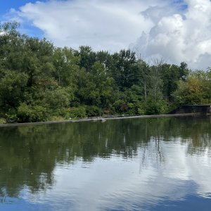 Canal ledge between Newark and Palmyra