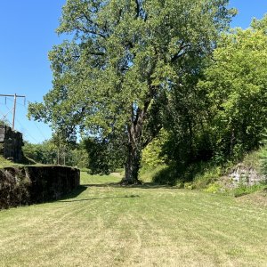 Old towpath change bridge 39