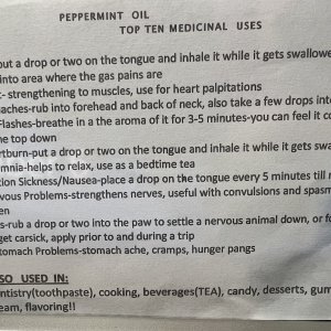 Peppermint Oil Medicinal Uses
