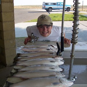 Limit of kokes