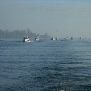 Media '(TwoLuckyFish)' in album 'Anna Leigh'