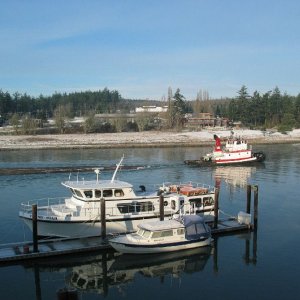Towing logs in Swinomish Channel