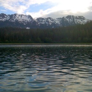 Media 'Looking for bears along the shore.  They stick to the tree line.  Hard to photograph.' in album 'Entering Oliver Inlet'