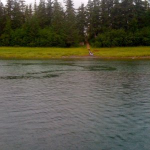 View of tram to Seymour Canal