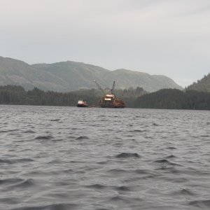 Here it is in action.  Two cranes working to lift 5 or 6 logs at a time from log rafts along side.