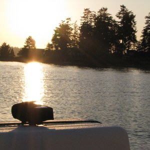 Media 'Spot clipped to the bungee holding the Cooler lid down.  Good view of the sky from here.' in album 'Forks and Friday Harbor 2009 163'
