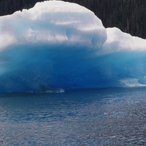 True Blue