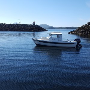 Media 'Two humpbacks went by just past the opening right after we tied up.' in album 'Practicing my docking'