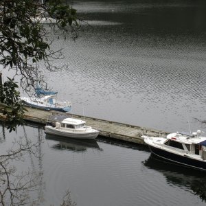 View from the trail above Reid Harbor dock