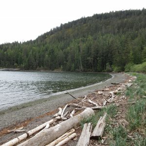 Beach in Reid Harbor