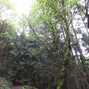 The greens were SO bright - no filters on this photo!