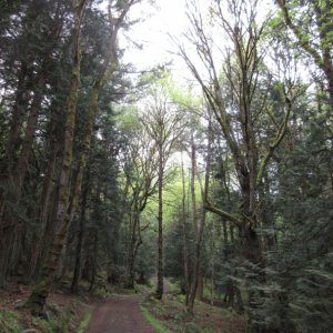 Everything is so green this time of year!
