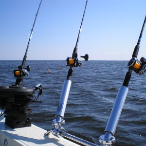 Planer Board Rods at work