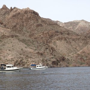 Media 'Lake Mohave hunting sheep' in album 'PICT0651 (Friday)
Our leader, Chris in 83 Dollar Cove.'