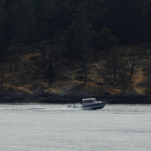 Walking around Gossip Island and...hey, look at that good looking boat coming in!