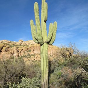 Apache Lake