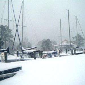 Boats in Coffee Creek slips at  Point Marina-22JAN11