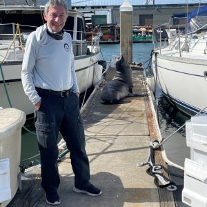 Erdem and the sea lion