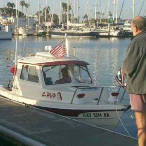 SeaPup-1.jpg