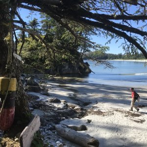 Calvert Island outer beach hiking