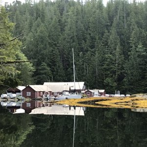 Media 'Sleepy Bay, Rivers Inlet. Long time fishing resort' in album 'Trip chart'