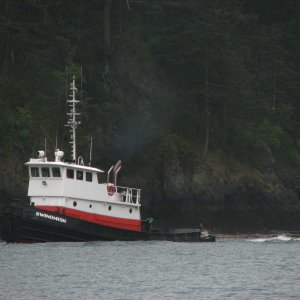 IMG 0373