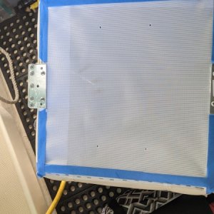 PXL 20201009 131215307