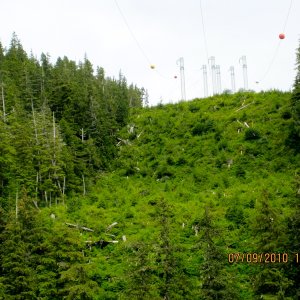 Powerlines from Snettisham hydroelectric facility